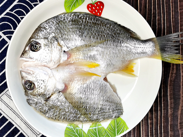 黃立魚（黃腳立魚，黃鰭鯛）